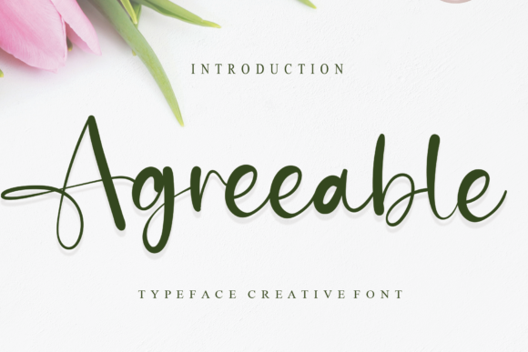 Agreeable: The Elegant Script Font for Modern Designs