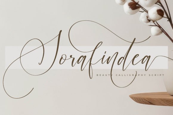 Elevate Your Brand Identity with Sorafindea