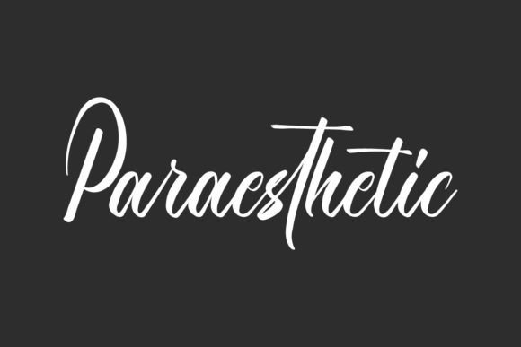 Paraesthetic: A Calligraphy Font with the Grace of Flower Petals
