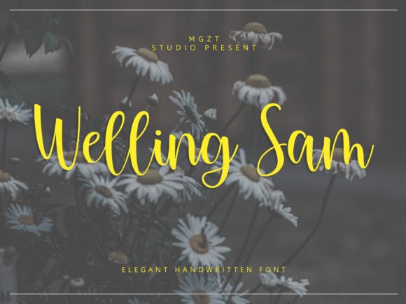 Welling Sam: The Handwritten Script Font for Modern Elegance